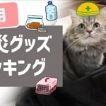 【猫の防災】基本の防災グッズパッキング！　いつか来る災害に備える猫用避難グッズを実際に準備してみた！