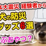 【犬の防災グッズ6選】東日本大震災 経験者が教える犬の防災対策【災害時】