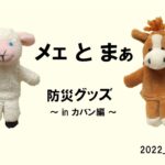 防災グッズ　カバン編 0825 22