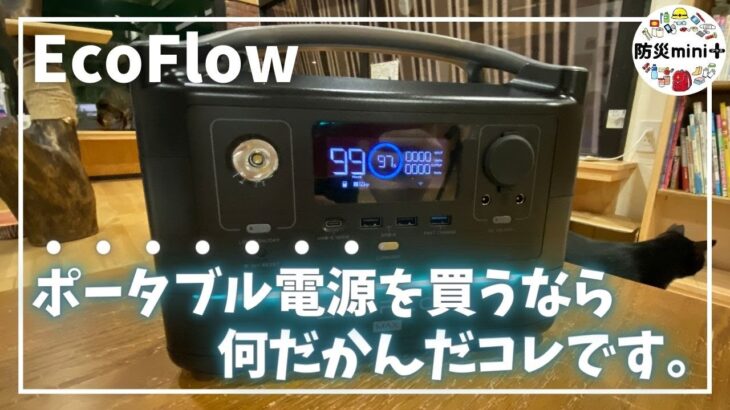 【ポータブル電源 おすすめ】EcoFlowのポタ電は無敵の防災グッズ!?【レビュー】