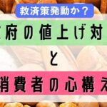 政府の値上げ対策に期待できるか？【備蓄するアラフォー独女】