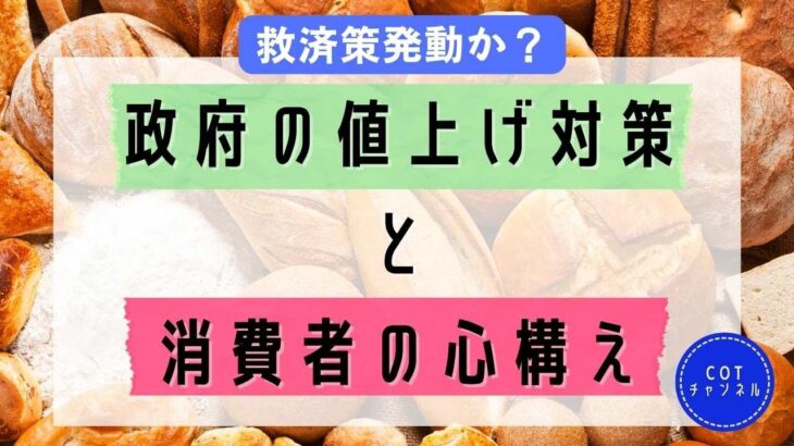 政府の値上げ対策に期待できるか？【備蓄するアラフォー独女】