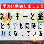 エネルギーとお金、同時進行でヤバいです【備蓄するアラフォー独女】