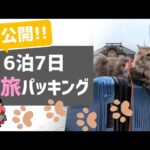 猫と新幹線で旅行する時の必携グッズパッキング！！【6泊7日 本州遠征の旅 part12】