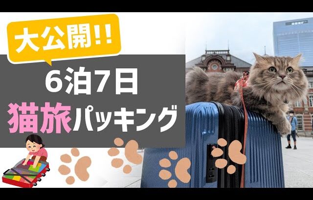 猫と新幹線で旅行する時の必携グッズパッキング！！【6泊7日 本州遠征の旅 part12】