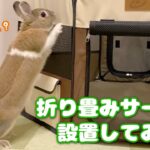 【防災避難グッズにも】うさぎさん用に折り畳みサークルを設置してみました！