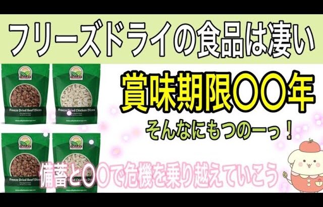 【食料備蓄】フリーズドライ最強！25年も賞味期限がある　でも備蓄以上に大事な事