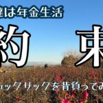 私達は年金生活vol.154　友と果たす約束　防災リュック中を確認と背負ってみた　長いも料理　備蓄品購入