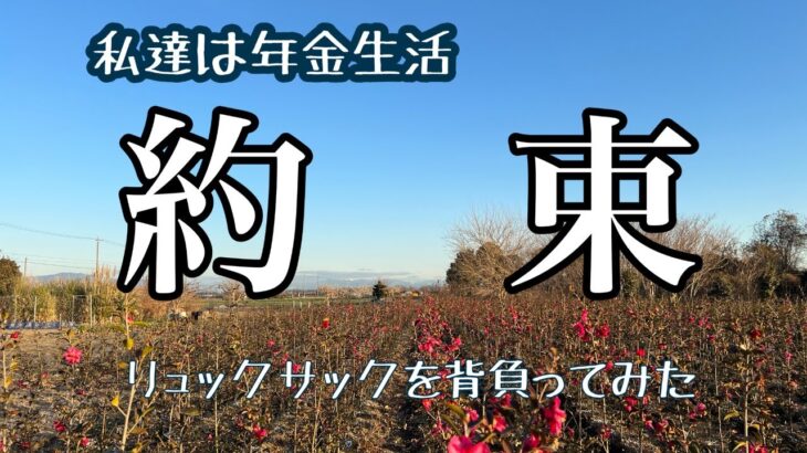 私達は年金生活vol.154　友と果たす約束　防災リュック中を確認と背負ってみた　長いも料理　備蓄品購入