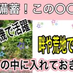 【サバイバル】最強備蓄　この種なら畦や荒れ地でもどうにかなる！