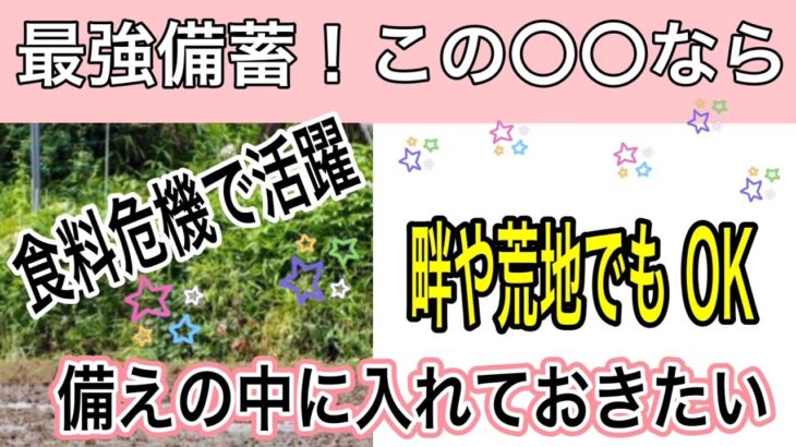 【サバイバル】最強備蓄　この種なら畦や荒れ地でもどうにかなる！