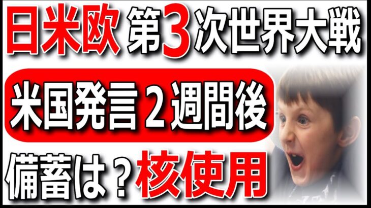 ❌備蓄【日本参戦】2週間で第3次世界大戦【ゆっくり解説】