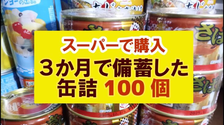 【食料備蓄】スーパーでコツコツ3か月で備蓄した缶詰100個