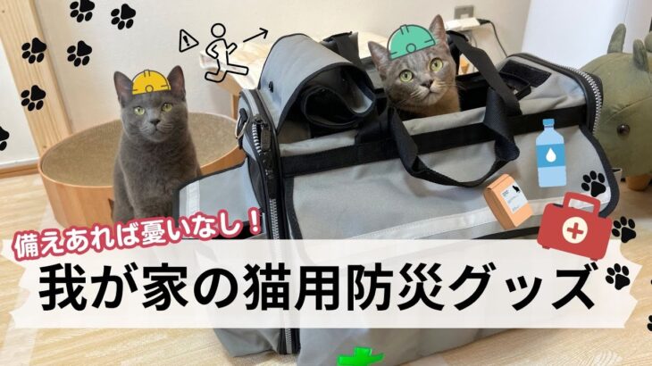 【猫の防災】我が家の猫専用防災バッグ！実際に使ってみてよかった商品だけを紹介します！