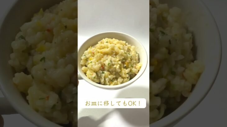 【ピリ辛】 永谷園 フリーズドライごはん チャーハン｜賞味期限8年 #非常食 #防災 #登山飯 #防災グッズ