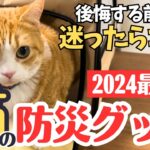 【2024年最新版】猫の防災グッズ！後悔する前に必見です！