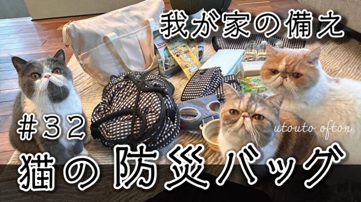 【我が家の備え】猫の防災バッグをご紹介します