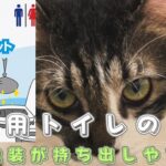 【防災用トイレ】【避難用】ずぼねこの防災用品