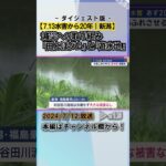 ｢7.13水害｣から20年－減災の取り組み『田んぼダム』と『遊水地』 #news #short  #ux新潟テレビ21 #新潟