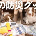 我が家の犬用の防災グッズ紹介をします！🐾備えとしてポータブル電源も導入しました！【Jackery 1000 New 】