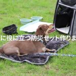 本当に役立つ犬用の防災バッグを作りました