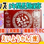 井村屋 えいようかん(煉) 60g×20本【長期保存可能】 【非常食】 【備蓄用】 【カロリー補給】兄妹で購入品紹介 開封　防災 災害対策