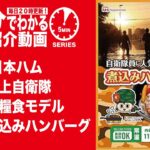 【5分でわかる】日本ハム 陸上自衛隊 戦闘糧食モデル 防災食煮込みハンバーグ【Vol.1045】#モケイパドック #非常食 #備蓄 #ぼうさい #じえいたい #日ハム #陸自 #パック飯