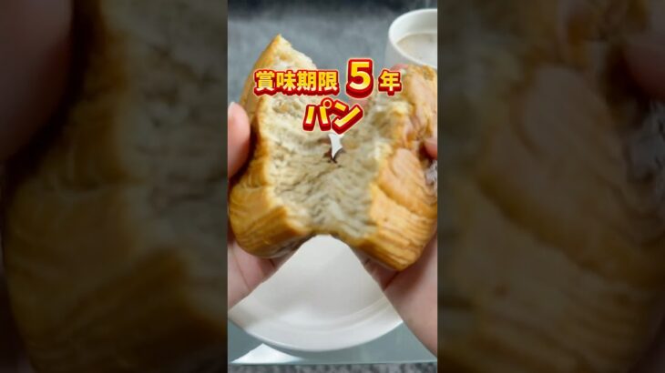 ホントに非常食？！賞味期限5年！しっとり美味しいパン