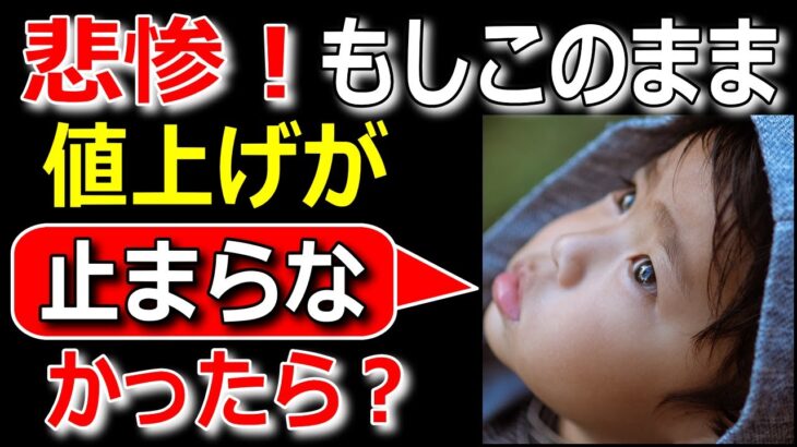 【悲惨】ガル2chもしこのまま値上が止まらなかったら？【ゆっくり解説】