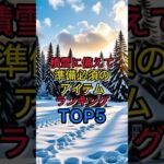 積雪に備えて準備必須のアイテムランキングトップ5#積雪#大雪#ランキング#防災グッズ