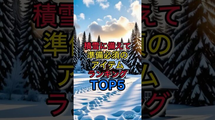 積雪に備えて準備必須のアイテムランキングトップ5#積雪#大雪#ランキング#防災グッズ