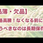 【欠品・品薄】　価格高騰！なくなる前にかうべきなのは長期保存米