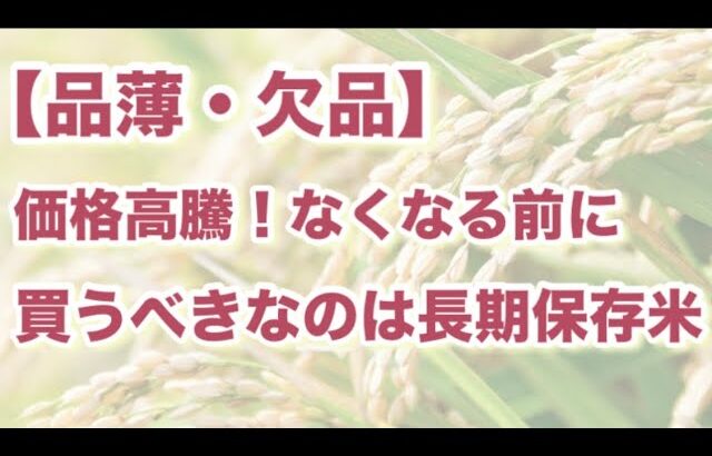 【欠品・品薄】　価格高騰！なくなる前にかうべきなのは長期保存米