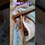 ジュゲム(チワワ)の独り言308 犬は何処？ #防災 #減災 #shorts #犬 #癒し