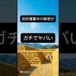 政府備蓄米の秘密とは？🍚💡 #政府備蓄米 #食糧安全 #災害対策 #日本の備蓄 #防災 #非常食 #食料供給 #秘密の備蓄 #短い動画 #驚きの事実