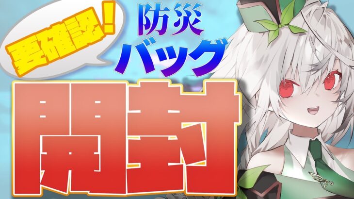 【防災リュック】中身チェック！ ちゃんと災害に備えてる？ まったり雑談しながら確認しようね✨【雑談 / 防災バッグ / 初見さん大歓迎  / Vtuber / 音野ことは】