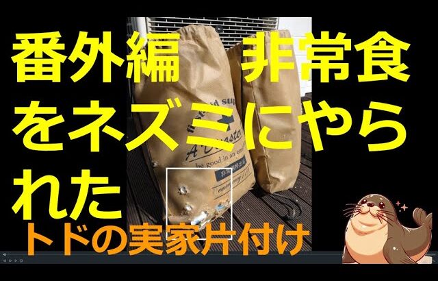 (r7.3.9)【実家の片付け】番外編　防災グッズの非常食をネズミにかじられたので、倉庫整理や #cleanup